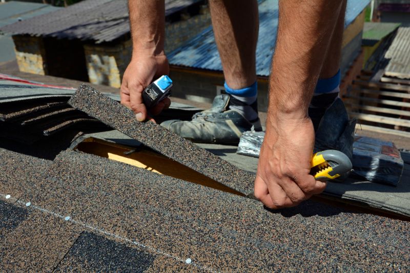 Professional Asphalt Shingle Repair 3