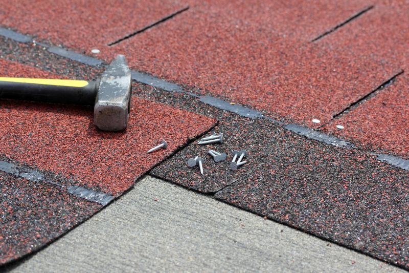Professional Asphalt Shingle Repair 4