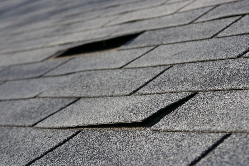 Professional Asphalt Shingle Repair 5