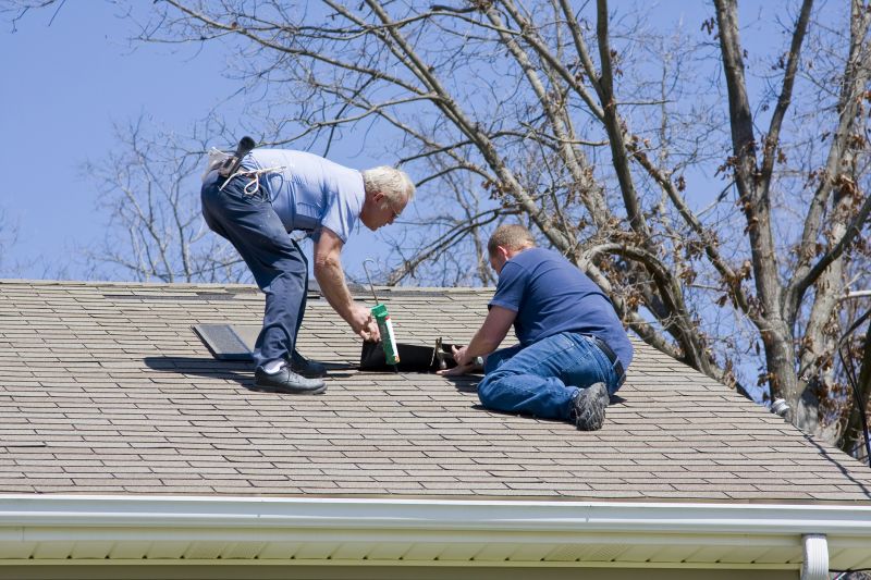 Expert Asphalt Shingle Repair 1