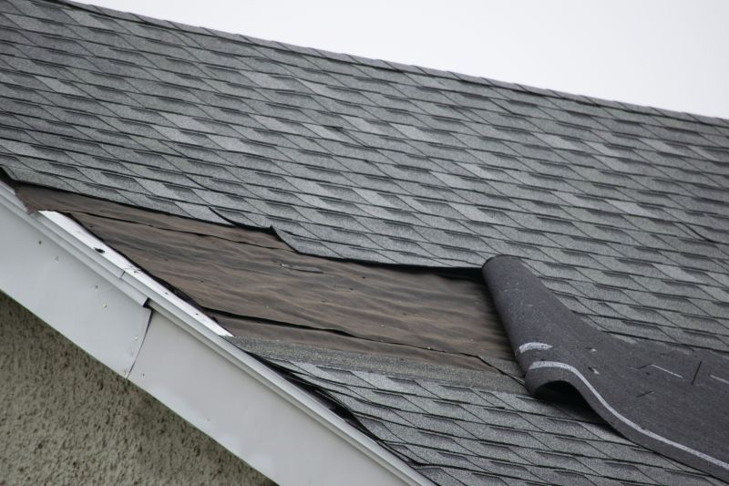 Asphalt Roof Repair Image 2