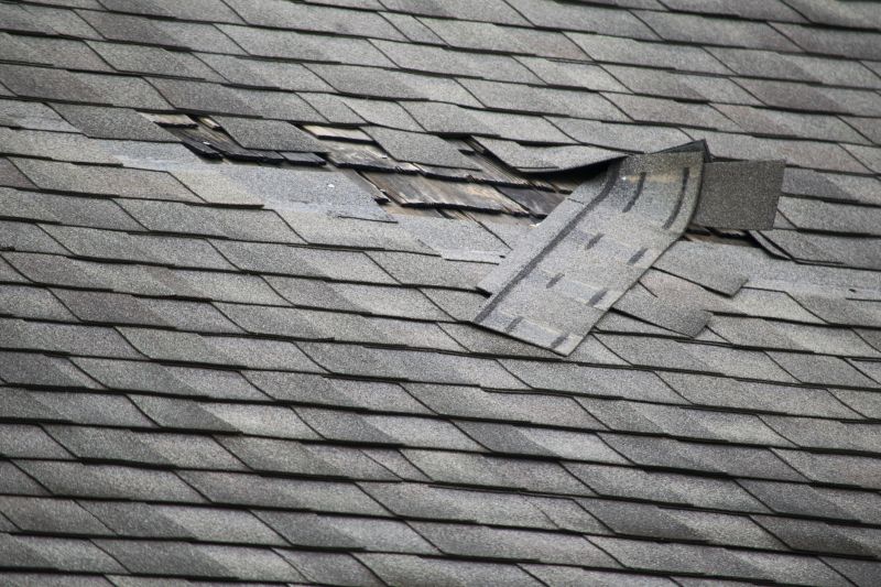 Asphalt Roof Repair Image 5