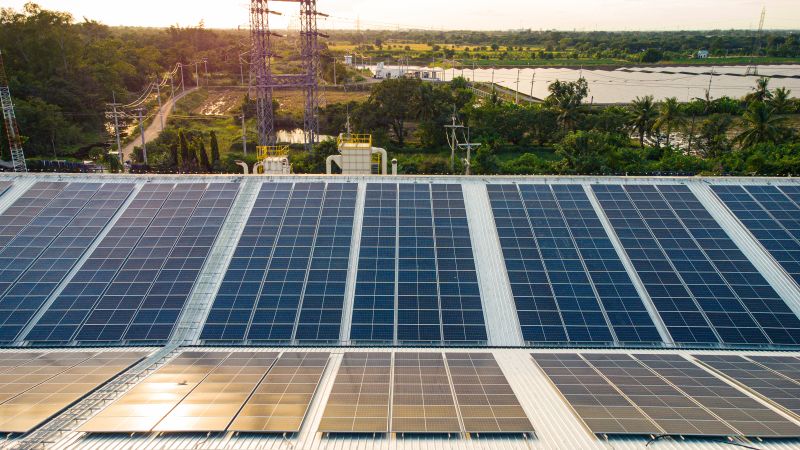 Green Roof Installations